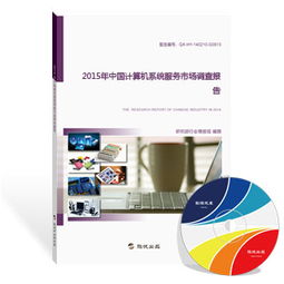 2015年中國計算機系統(tǒng)服務(wù)市場調(diào)查報告